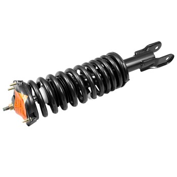 Suspension Strut and Coil Spring Assembly