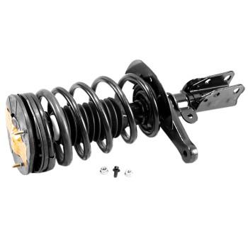 Suspension Strut and Coil Spring Assembly