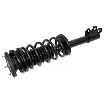 Suspension Strut and Coil Spring Assembly