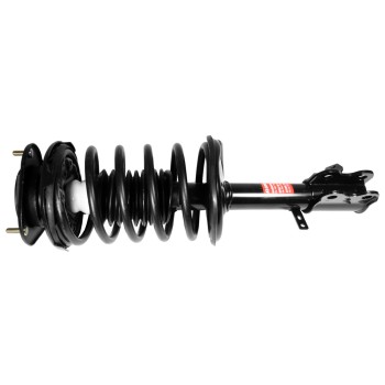 Suspension Strut and Coil Spring Assembly