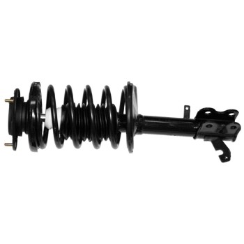 Suspension Strut and Coil Spring Assembly