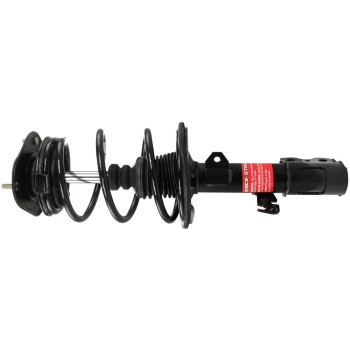 Suspension Strut and Coil Spring Assembly