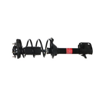 Suspension Strut and Coil Spring Assembly