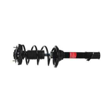Suspension Strut and Coil Spring Assembly