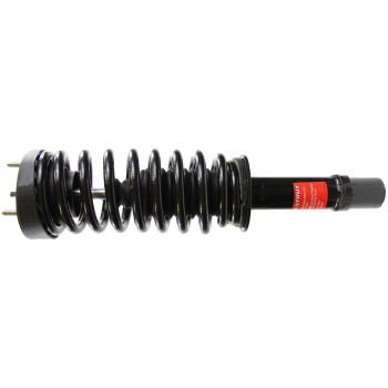 Suspension Strut and Coil Spring Assembly