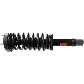 Suspension Strut and Coil Spring Assembly