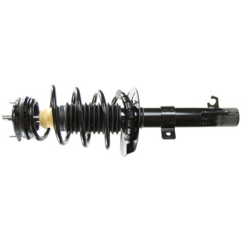 Suspension Strut and Coil Spring Assembly