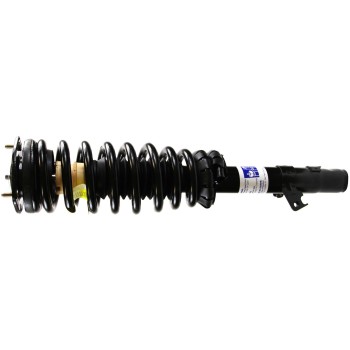 Suspension Strut and Coil Spring Assembly