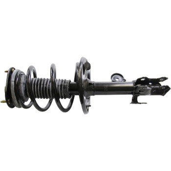 Suspension Strut and Coil Spring Assembly