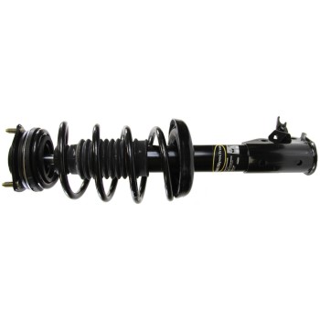 Suspension Strut and Coil Spring Assembly