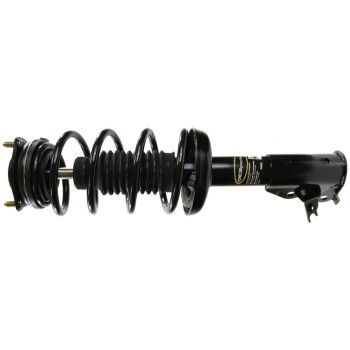 Suspension Strut and Coil Spring Assembly