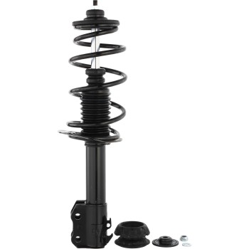 Suspension Strut and Coil Spring Assembly