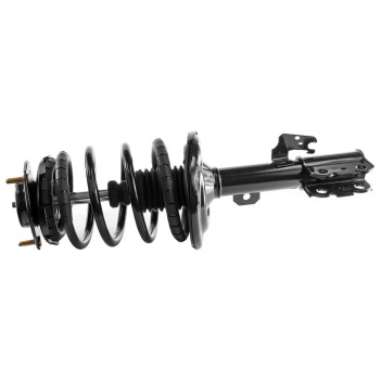 Suspension Strut and Coil Spring Assembly