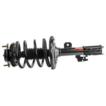 Suspension Strut and Coil Spring Assembly