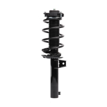 Suspension Strut and Coil Spring Assembly