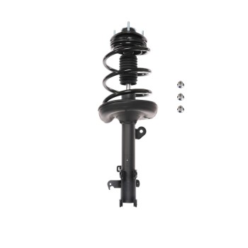 Suspension Strut and Coil Spring Assembly