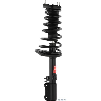 Suspension Strut and Coil Spring Assembly