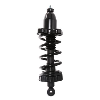 Suspension Strut and Coil Spring Assembly