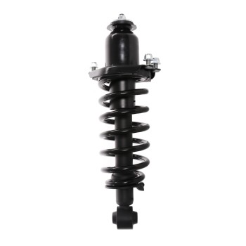 Suspension Strut and Coil Spring Assembly