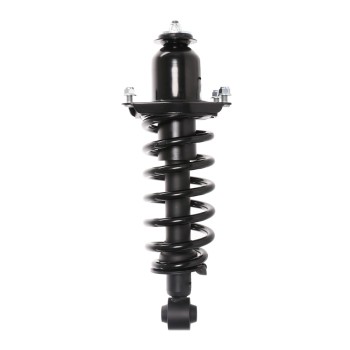 Suspension Strut and Coil Spring Assembly
