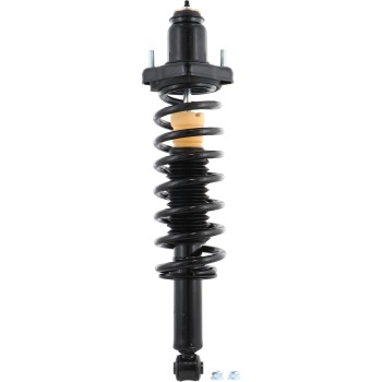 Suspension Strut and Coil Spring Assembly