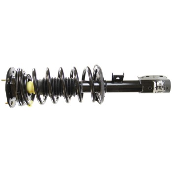Suspension Strut and Coil Spring Assembly