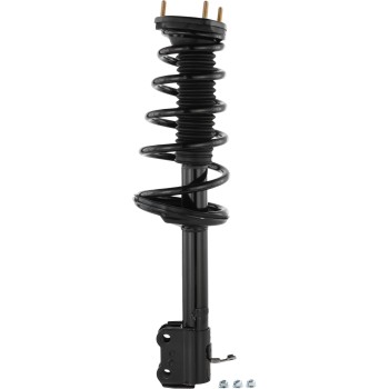 Suspension Strut and Coil Spring Assembly