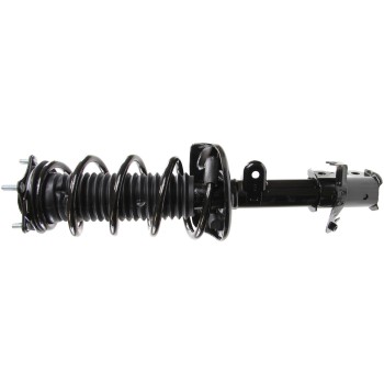 Suspension Strut and Coil Spring Assembly