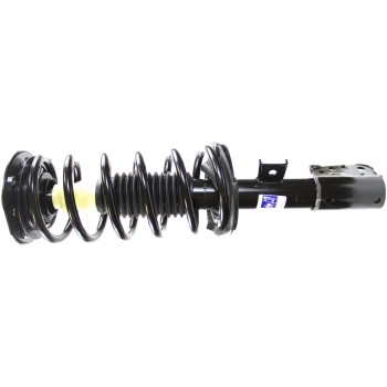 Suspension Strut and Coil Spring Assembly