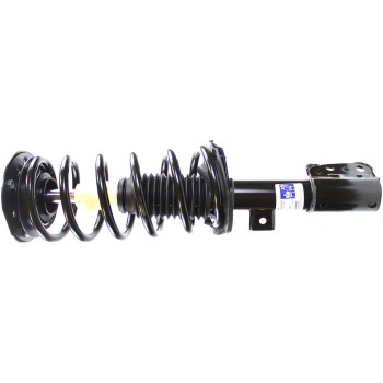 Suspension Strut and Coil Spring Assembly