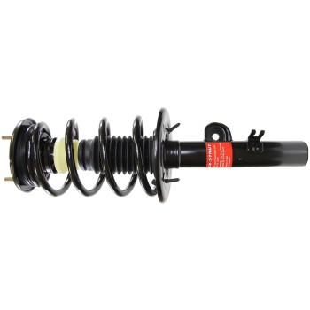 Suspension Strut and Coil Spring Assembly
