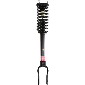 Suspension Strut and Coil Spring Assembly