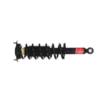 Suspension Strut and Coil Spring Assembly