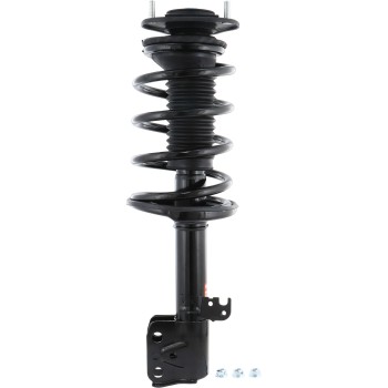 Suspension Strut and Coil Spring Assembly