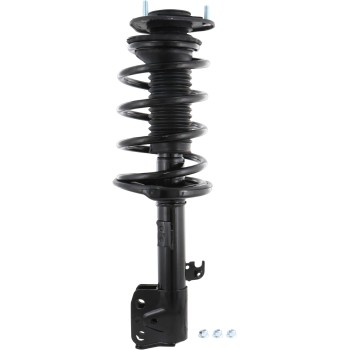 Suspension Strut and Coil Spring Assembly