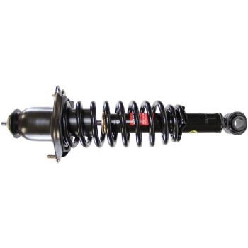 Suspension Strut and Coil Spring Assembly
