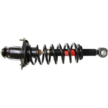 Suspension Strut and Coil Spring Assembly