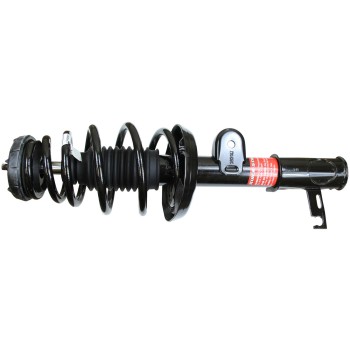 Suspension Strut and Coil Spring Assembly