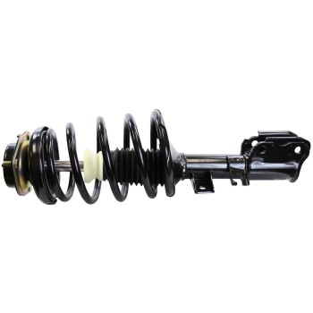 Suspension Strut and Coil Spring Assembly