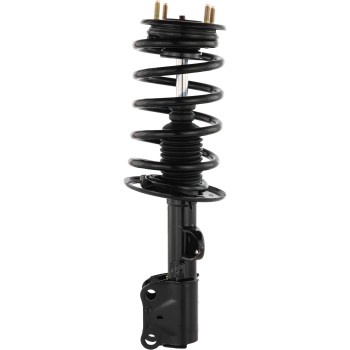 Suspension Strut and Coil Spring Assembly