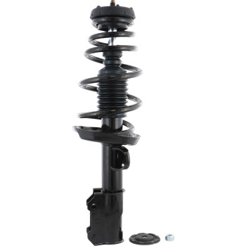 Suspension Strut and Coil Spring Assembly