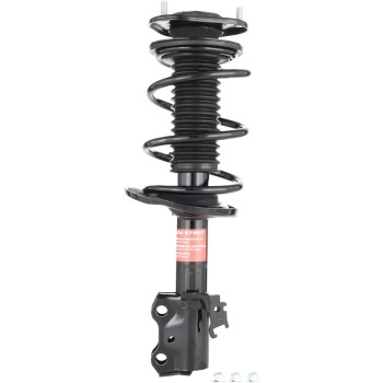 Suspension Strut and Coil Spring Assembly