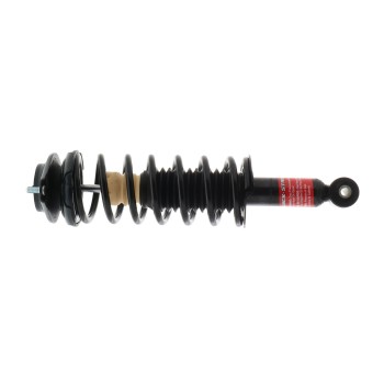 Suspension Strut and Coil Spring Assembly