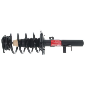 Suspension Strut and Coil Spring Assembly
