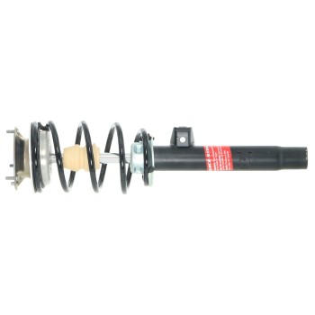 Suspension Strut and Coil Spring Assembly