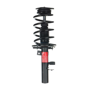 Suspension Strut and Coil Spring Assembly