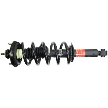 Suspension Strut and Coil Spring Assembly