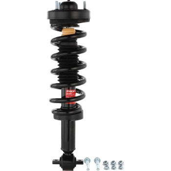 Suspension Strut and Coil Spring Assembly
