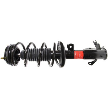 Suspension Strut and Coil Spring Assembly