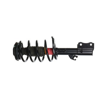 Suspension Strut and Coil Spring Assembly